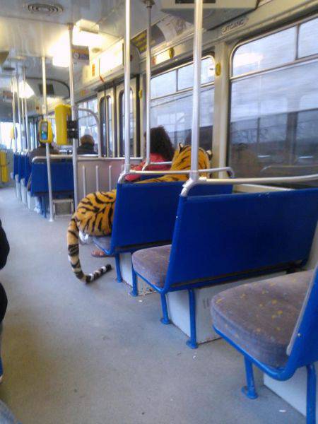 morning picdump 51 pics 6.html - 51 HD Photos | Premium Gallery 2017