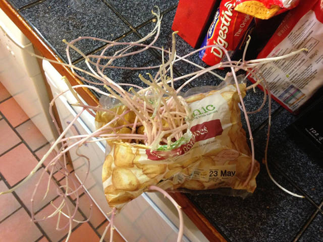 morning picdump 51 pics 6.html - 51 HD Photos | Premium Gallery 2017