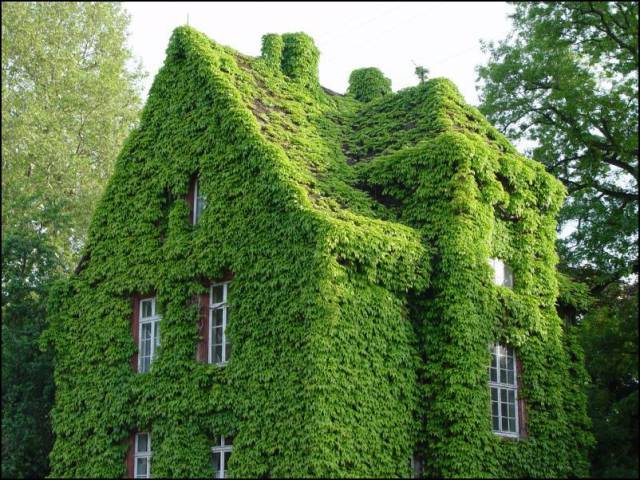 daily picdump 100 pics 2.html - 100 HD Photos | Premium Gallery 2017