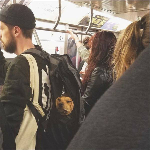 daily picdump 100 pics 2.html - 100 HD Photos | Premium Gallery 2017