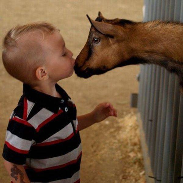 daily picdump 100 pics 2.html - 100 HD Photos | Premium Gallery 2017