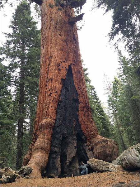 daily picdump 100 pics 2.html - 100 HD Photos | Premium Gallery 2017