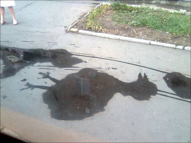 daily picdump 100 pics 2.html - 100 HD Photos | Premium Gallery 2017