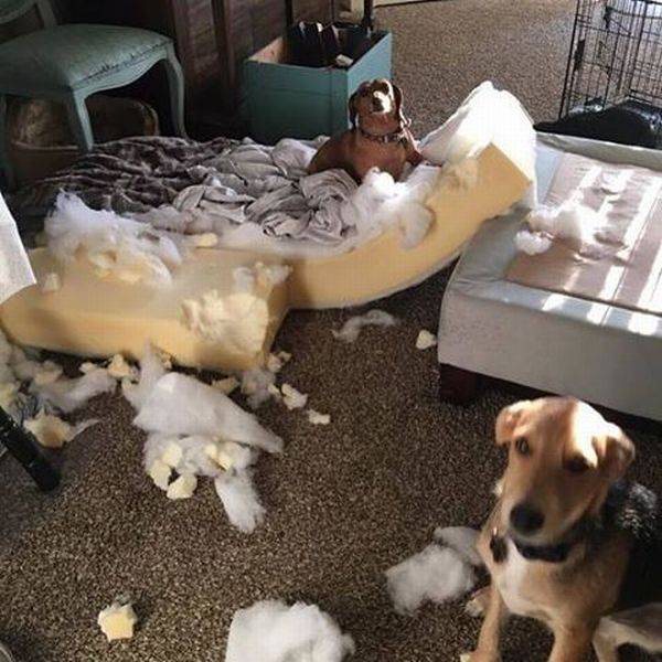 daily picdump 100 pics 2.html - 100 HD Photos | Premium Gallery 2017