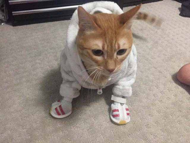 morning picdump 50 pics 3.html - 50 HD Photos | Premium Gallery 2017