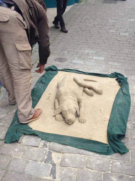 morning picdump 50 pics 3.html - 50 HD Photos | Premium Gallery 2017