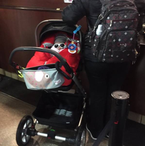 Daily Picdump [WEEKEND EDITION]