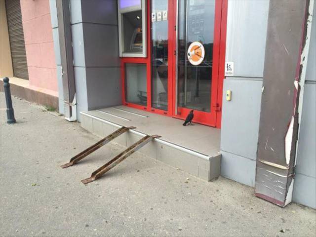 Daily Picdump [WEEKEND EDITION]