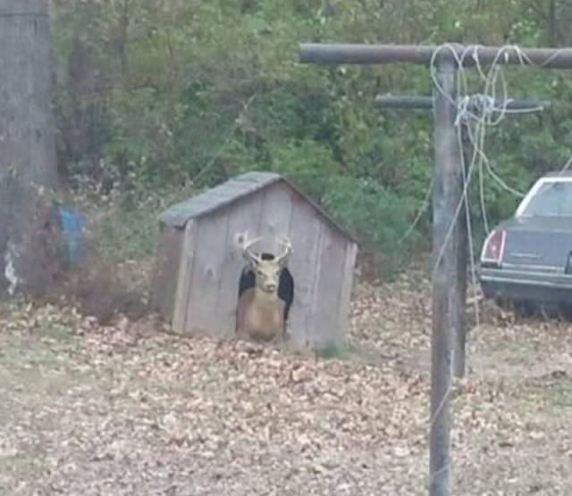 daily picdump 96 pics 45.html - 96 HD Photos | Premium Gallery 2017