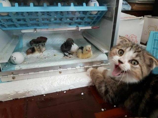 daily picdump 96 pics 45.html - 96 HD Photos | Premium Gallery 2017