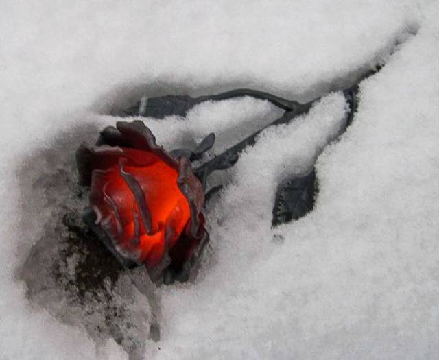 daily picdump 96 pics 45.html - 96 HD Photos | Premium Gallery 2017