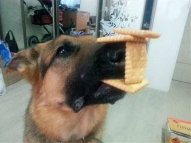 daily picdump 96 pics 45.html - 96 HD Photos | Premium Gallery 2017