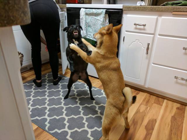 daily picdump 96 pics 45.html - 96 HD Photos | Premium Gallery 2017