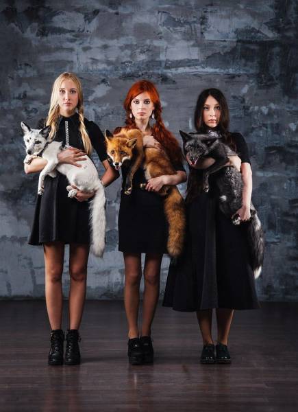 daily picdump 96 pics 45.html - 96 HD Photos | Premium Gallery 2017