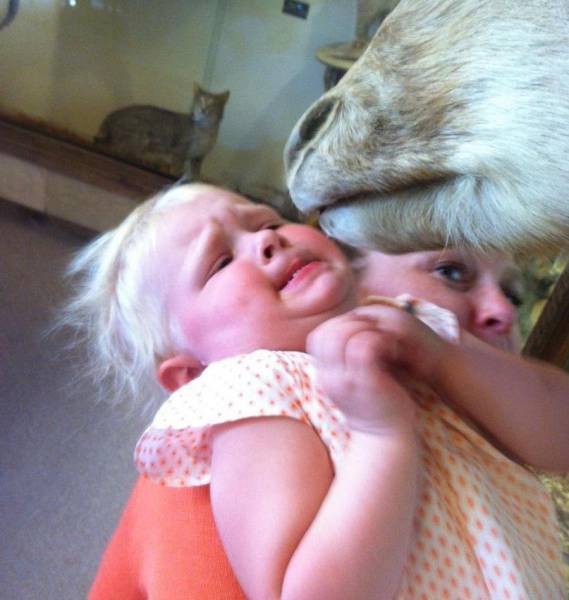 daily picdump 96 pics 45.html - 96 HD Photos | Premium Gallery 2017