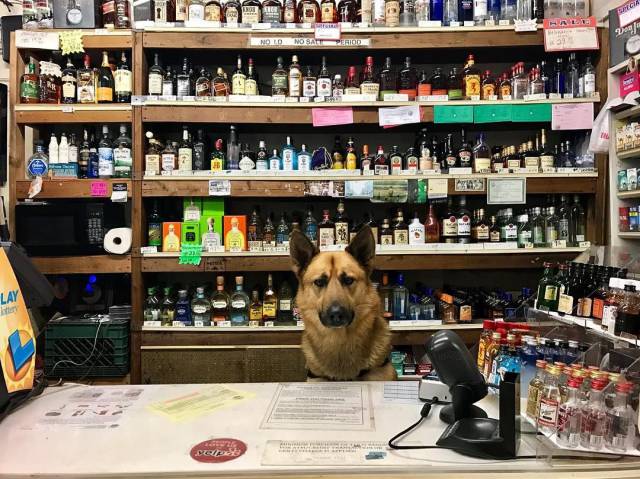 daily picdump 96 pics 45.html - 96 HD Photos | Premium Gallery 2017