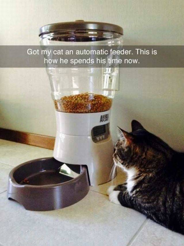 daily picdump 96 pics 45.html - 96 HD Photos | Premium Gallery 2017