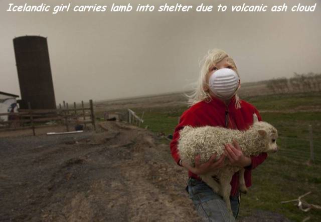 daily picdump 93 pics 3.html - 93 HD Photos | Premium Gallery 2017