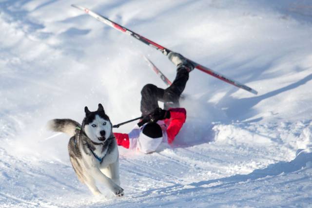 daily picdump 93 pics 3.html - 93 HD Photos | Premium Gallery 2017