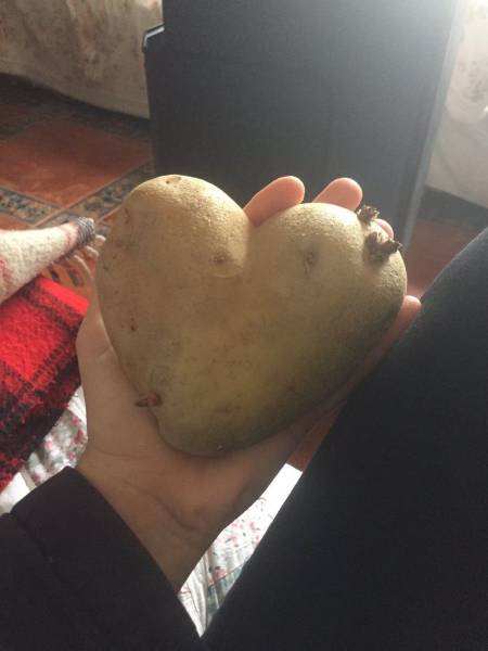 daily picdump 93 pics 3.html - 93 HD Photos | Premium Gallery 2017