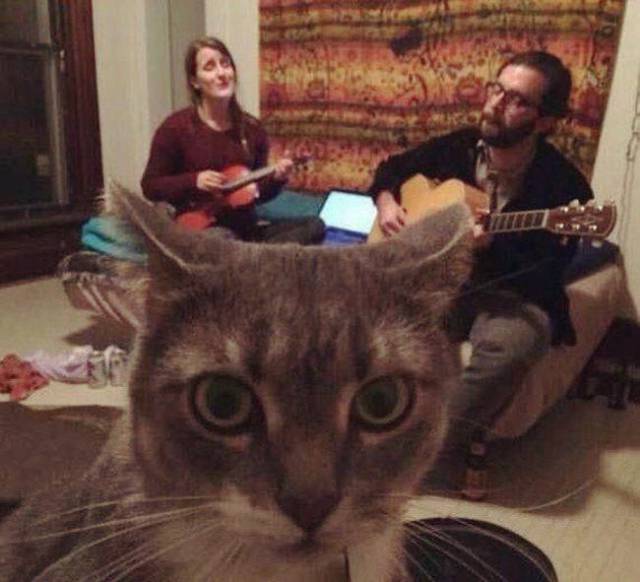 daily picdump 93 pics 3.html - 93 HD Photos | Premium Gallery 2017