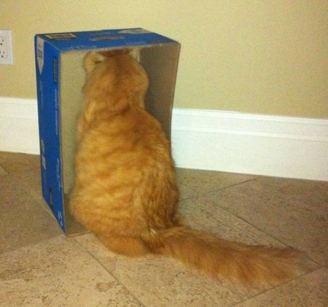 daily picdump 93 pics 3.html - 93 HD Photos | Premium Gallery 2017