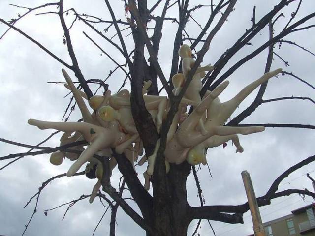 daily picdump 93 pics 3.html - 93 HD Photos | Premium Gallery 2017