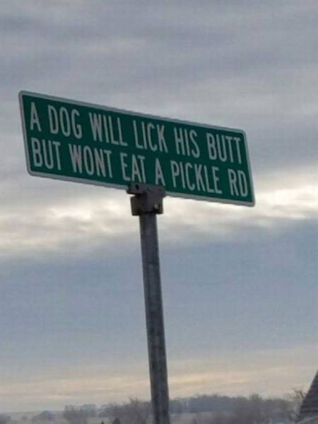 daily picdump 93 pics 3.html - 93 HD Photos | Premium Gallery 2017