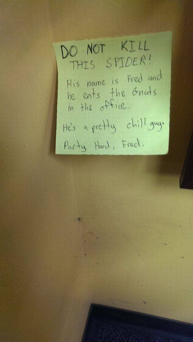 daily picdump 93 pics 3.html - 93 HD Photos | Premium Gallery 2017