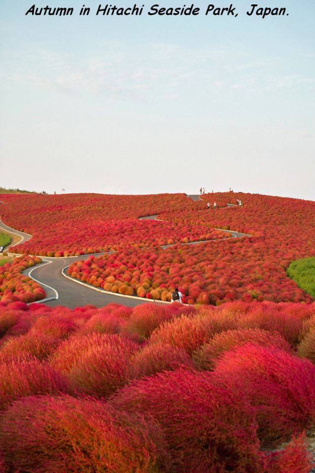 daily picdump 93 pics 3.html - 93 HD Photos | Premium Gallery 2017