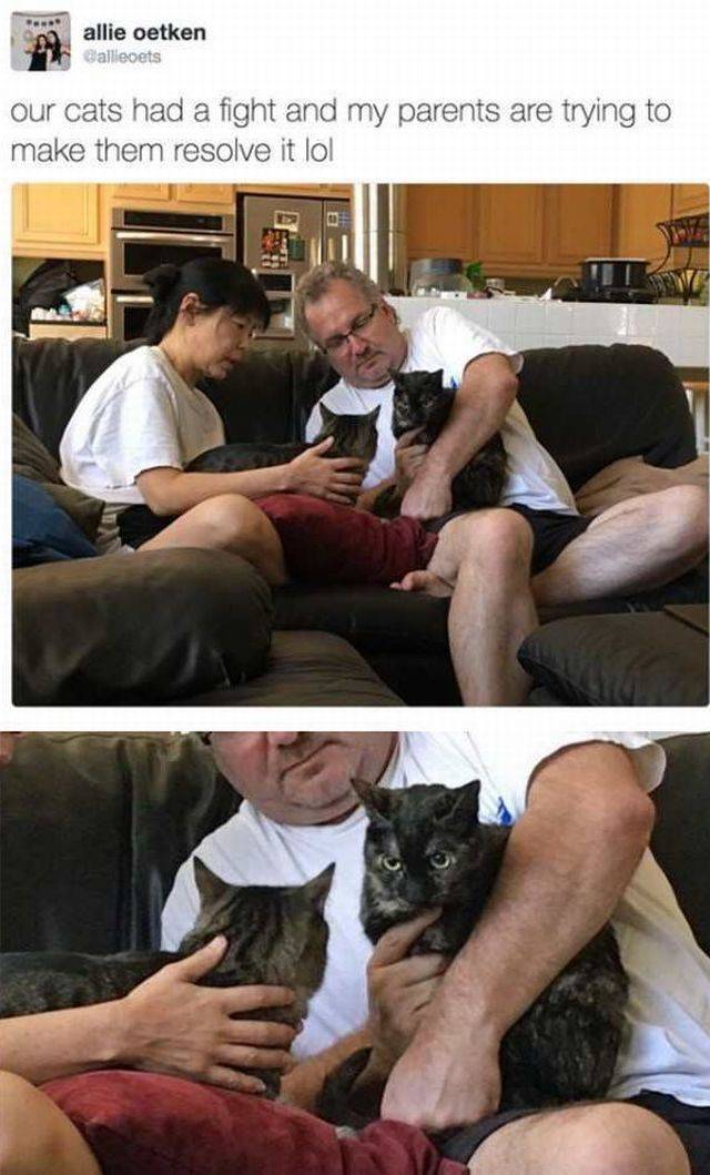 daily picdump 93 pics 3.html - 93 HD Photos | Premium Gallery 2017