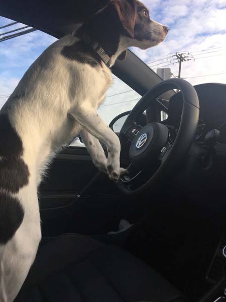 morning picdump 52 pics 4.html - 52 HD Photos | Premium Gallery 2017