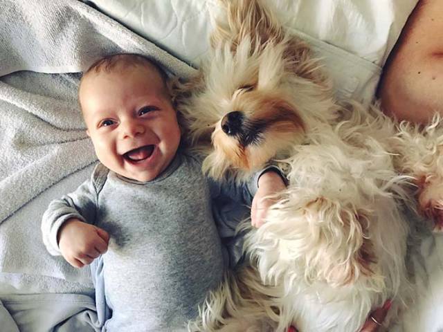 morning picdump 52 pics 4.html - 52 HD Photos | Premium Gallery 2017