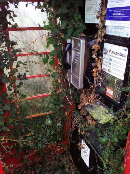 morning picdump 52 pics 4.html - 52 HD Photos | Premium Gallery 2017