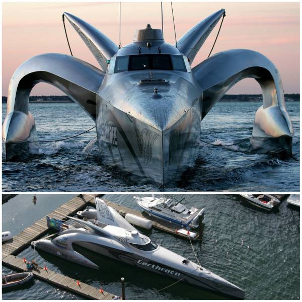 daily picdump 98 pics 39.html - 98 HD Photos | Premium Gallery 2017