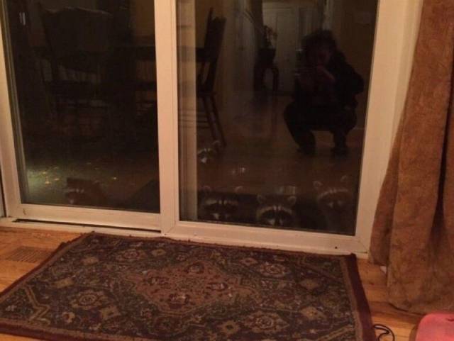 daily picdump 98 pics 39.html - 98 HD Photos | Premium Gallery 2017