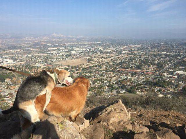 daily picdump 98 pics 39.html - 98 HD Photos | Premium Gallery 2017