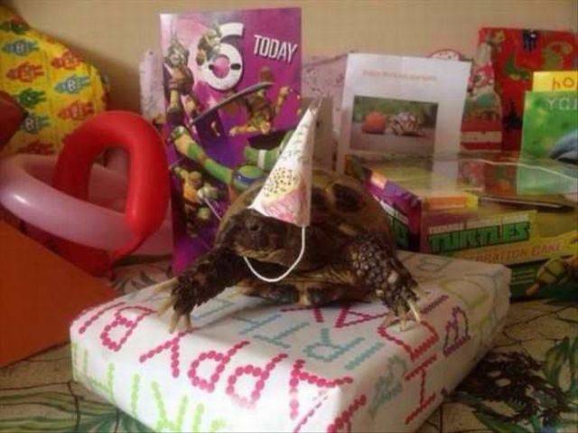 daily picdump 98 pics 39.html - 98 HD Photos | Premium Gallery 2017