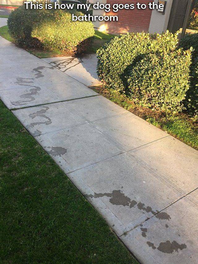 daily picdump 98 pics 39.html - 98 HD Photos | Premium Gallery 2017