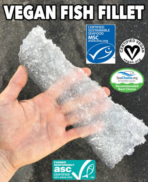 funny picdump 52 pics 14.html - 52 HD Photos | Premium Gallery 2017