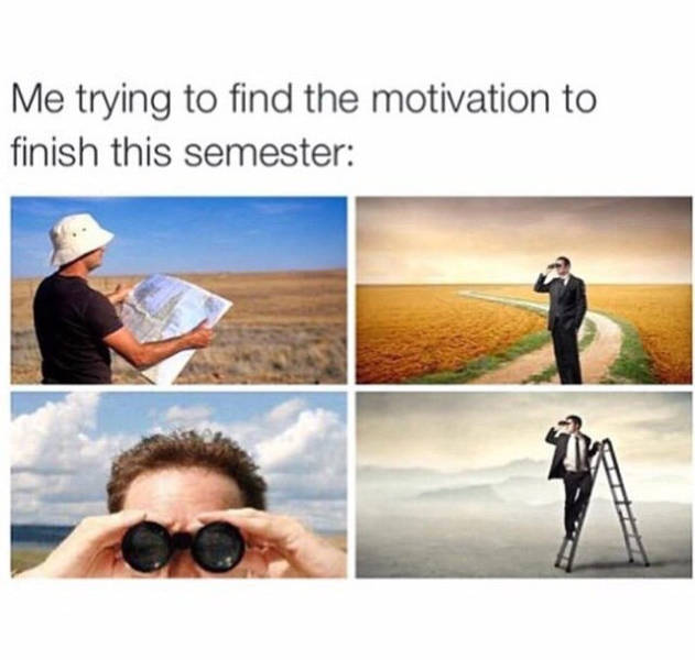 funny picdump 52 pics 14.html - 52 HD Photos | Premium Gallery 2017