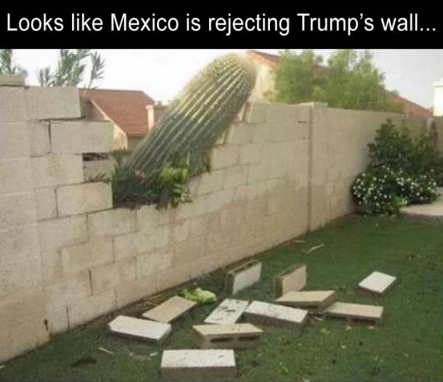 funny picdump 52 pics 14.html - 52 HD Photos | Premium Gallery 2017