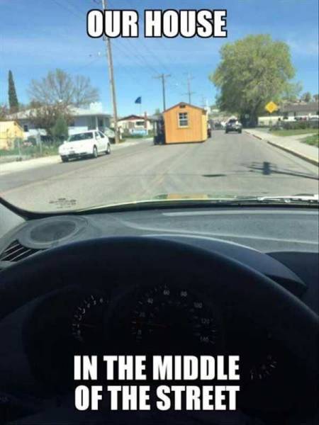 Daily Picdump