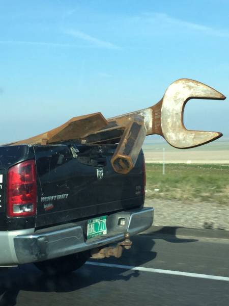 Daily Picdump
