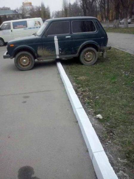 Daily Picdump