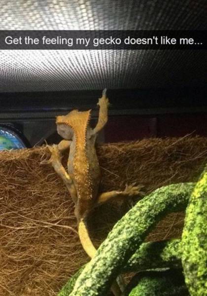 Daily Picdump