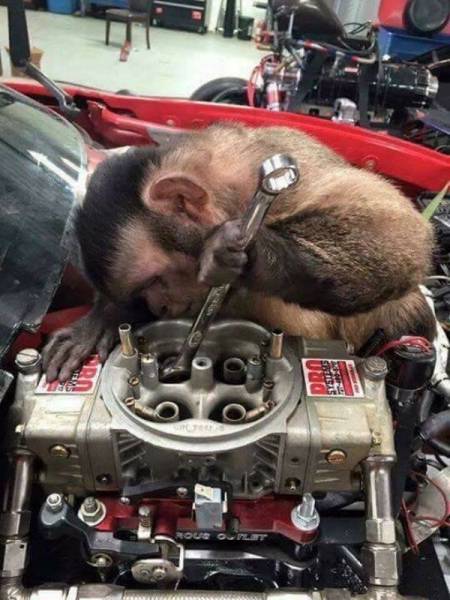 Daily Picdump