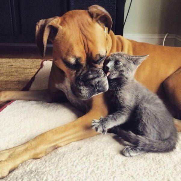 Daily Picdump