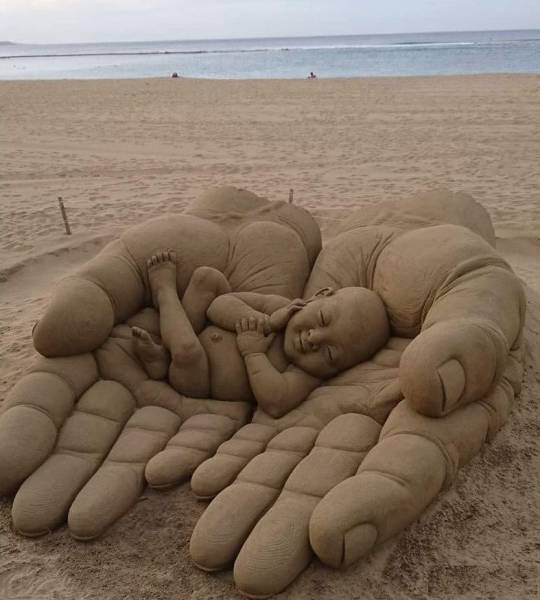 Daily Picdump
