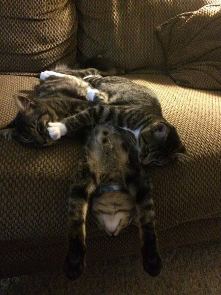 Daily Picdump
